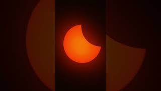 Timelapse of the solar eclipse #eclipse #solareclipse @ukwildlife