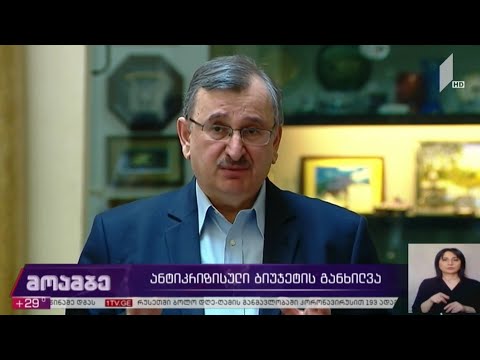 ანტიკრიზისული ბიუჯეტის პროექტის განხილვა