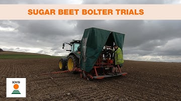 Sugar Beet Bolter Trials