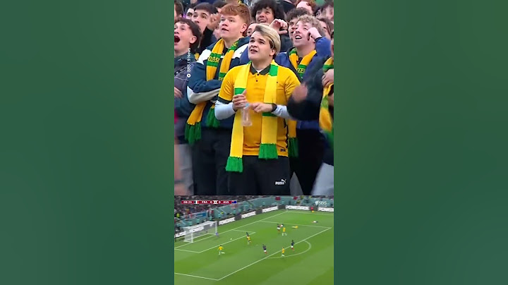 Socceroos fans react to Aus World Cup goal