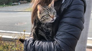 妹に抱っこされ初めて外に出てお散歩する猫