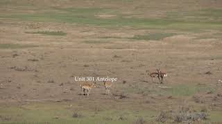 Colorado GMU Unit 301 Hunting Information