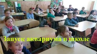 Аквариум для начинающих! Акваскейп. Природный аквариум. Запуск аквариума. Полная версия Аквариум для начинающих! Акваскейп. Природный аквариум. Запуск аквариума. Полная версия