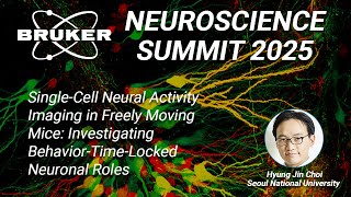 Image Single-Cell Neural Activity in Freely Moving Mice | Bruker Neuroscience Summit 2025