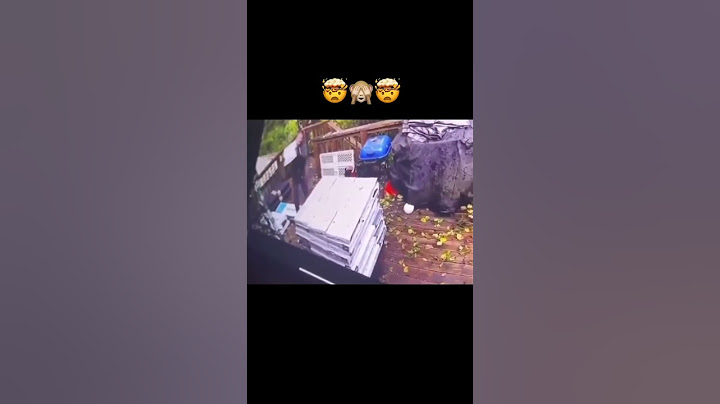 Wenn du kurz Druck ablassen willst – und die Terrasse kündigt fristlos. 🫣🪵💥