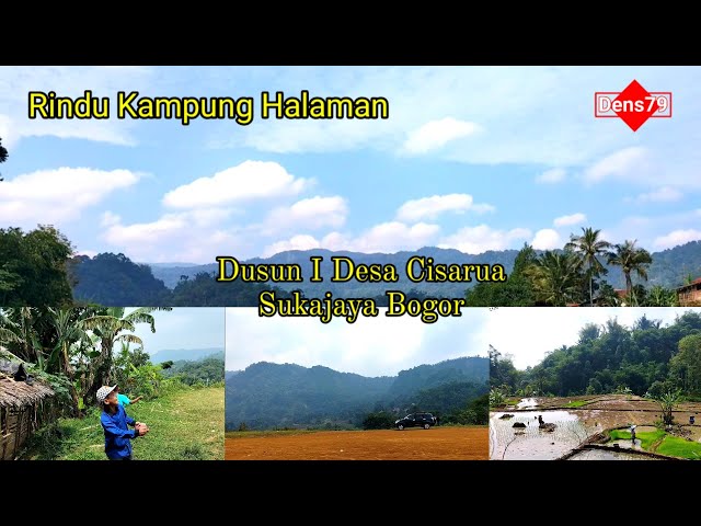 Suasana Pedesaan || Dusun I Desa Cisarua, Sukajaya Bogor class=