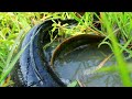 Very Lucky Fishing!! Catching a lot of Fish in Water Under Grass