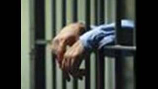 Amy Winehouse 2011 Crack Up Is This The End Of The Road,Belgrade Or Bust ?