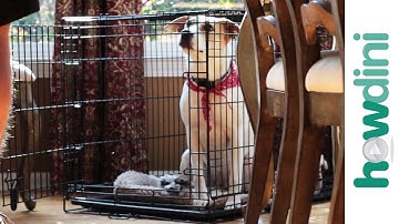 How To Crate Train a Puppy - Crate Training a Puppy