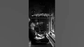 يا خالق الأكوان دلني الشامي اغاني الشامي رائج اكسبلور حالات واتس اب حب وحنان حمادات لايك وين 