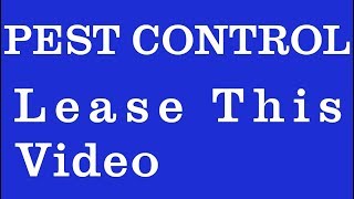 Pest Control Weston | Residential & Commercial Weston, FL
