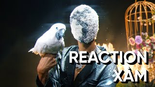 Reaction #:6 16 Typh - MILLION DOLLAR BOY | OFFICIAL MUSIC VIDEO