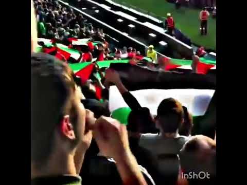 جمهور سيلتيك ترفع علم فلسطين