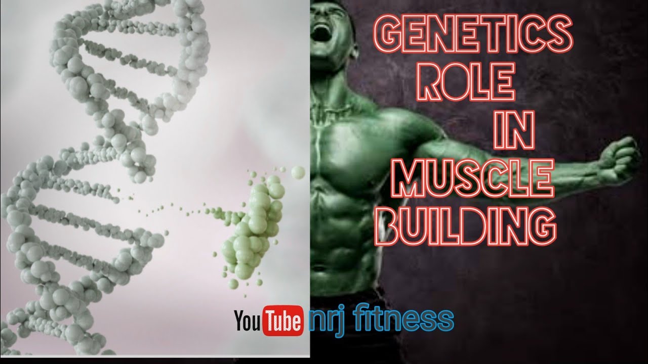 Genetics role in muscle building ||full informative video ||nrj fitness ...