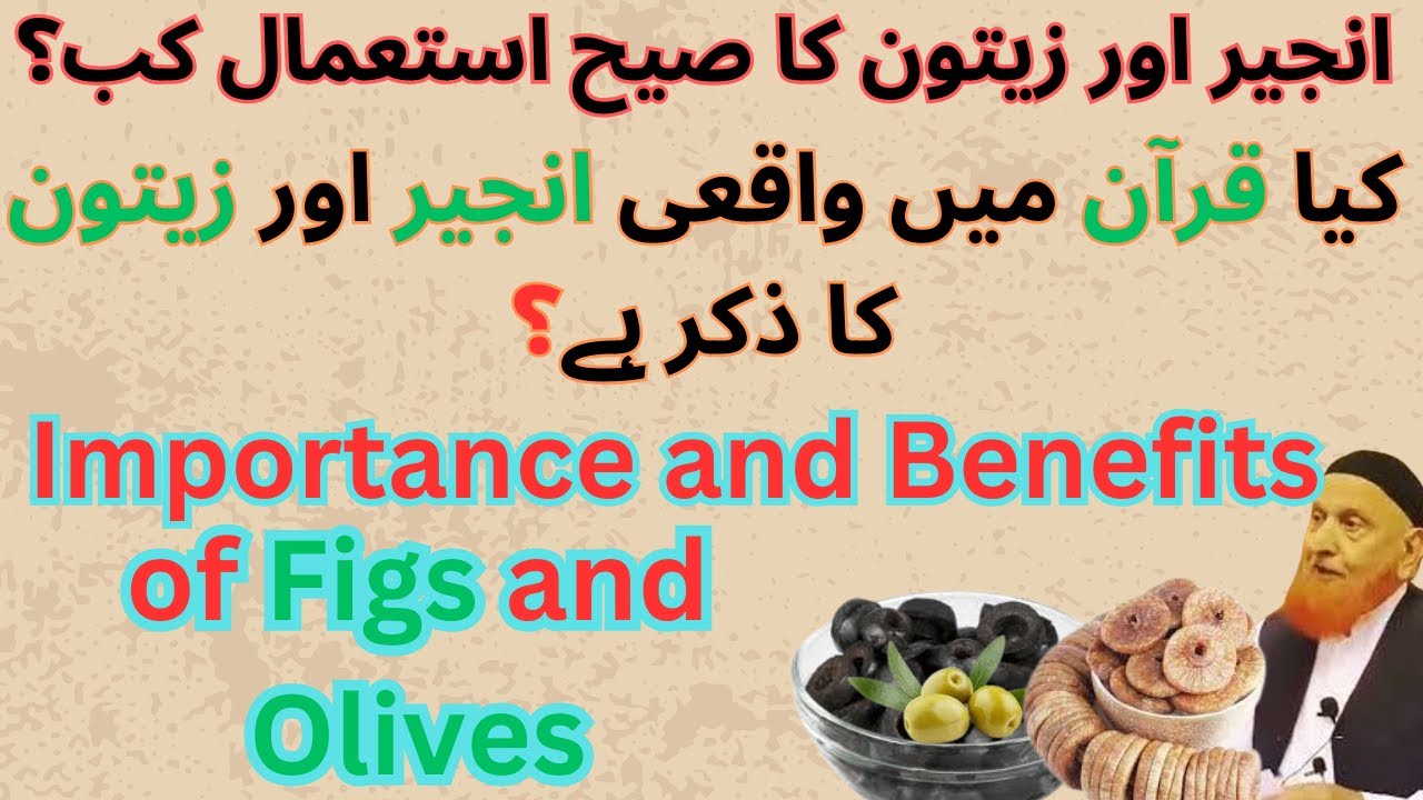 Importance and Benefits of Figs and Olives Zaitoon or Anjeer 