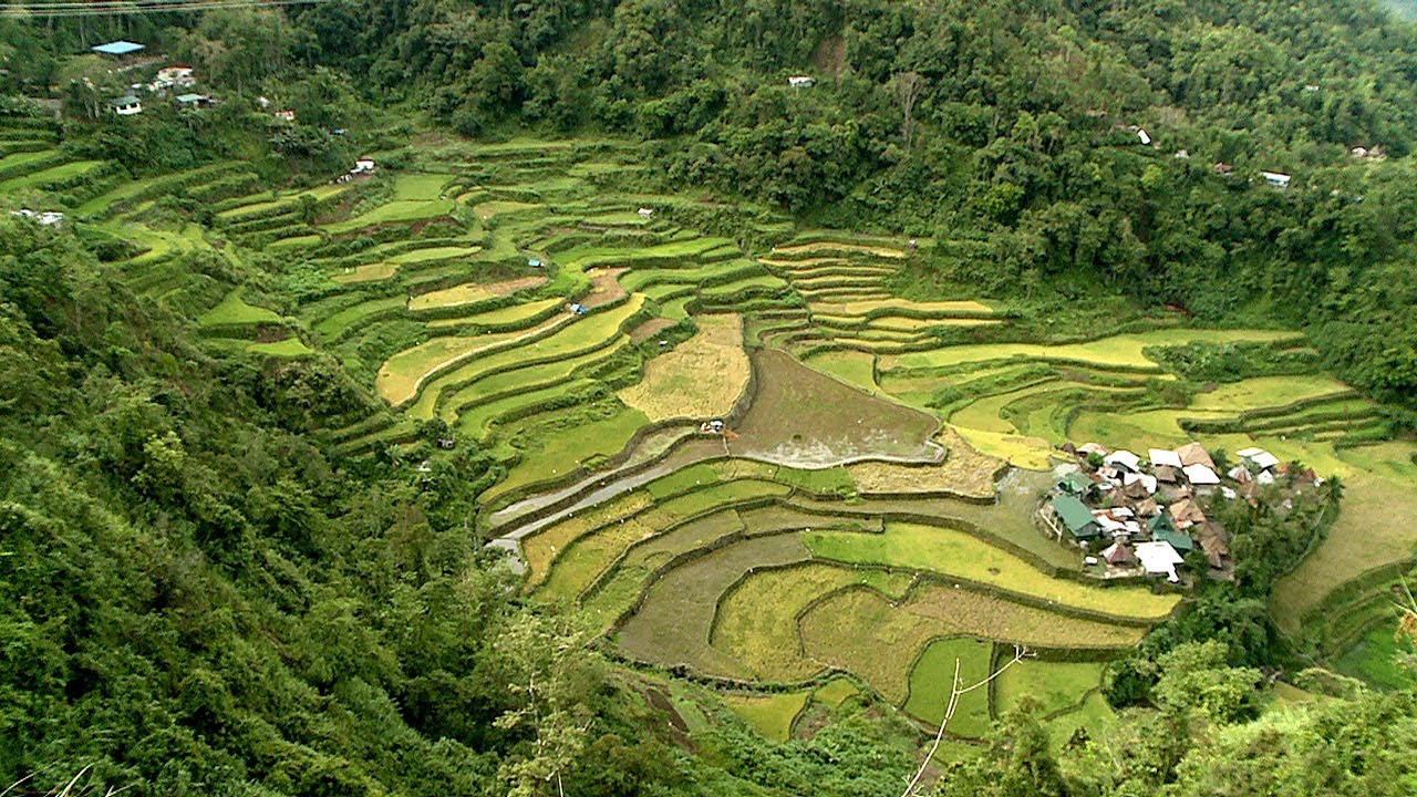 World Heritage Banaue Rice Terraces 世界遺産 バナウェ ライステラス 棚田郡 Youtube