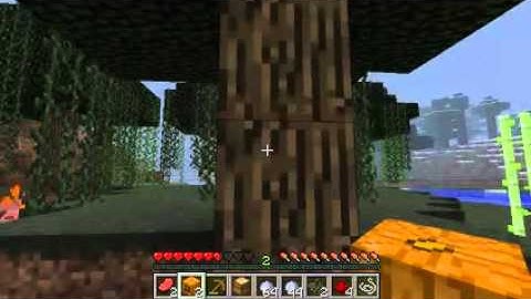 Lets Play Minecraft 1.1 with MineColony Part 2