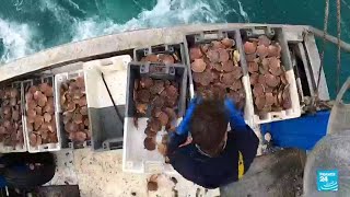 France condemns 'unacceptable' post-Brexit fishing moves by UK • FRANCE 24 English