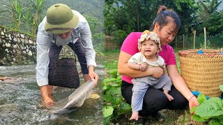 18 year old single mother: Harvesting vegetables from the garden - Fish trap - Cooking | Ly Tieu An
