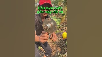 Đầu bơm nước gắn máy cắt cỏ#bonsai #caycanh #làmvườn