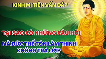 Tại sao có những câu hỏi mà Đức Thế Tôn làm thinh không trả lời?? Kinh Mi Tiên Vấn Đáp Câu 99-102