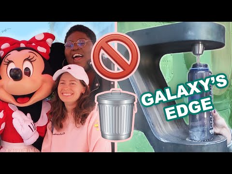 I Tried To Do Disneyland Zero Waste