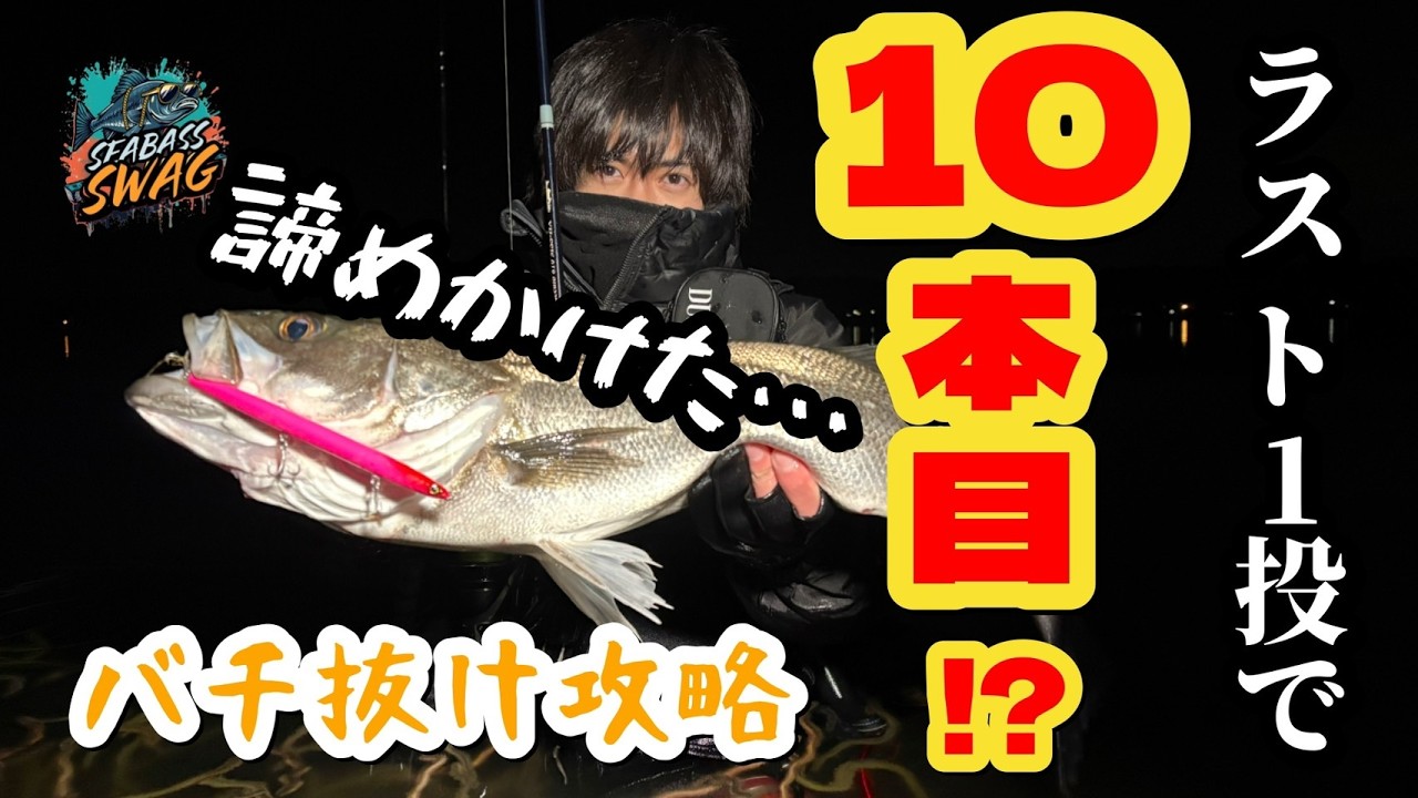 【バチ抜けシーバス】帰ろうとした最後の１投で起きた奇跡!!＜シーバススワッグ#３＞