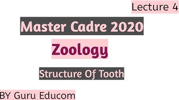Master Cadre 2020 Science Preparation l  Lecture 4 Structure Of Tooth