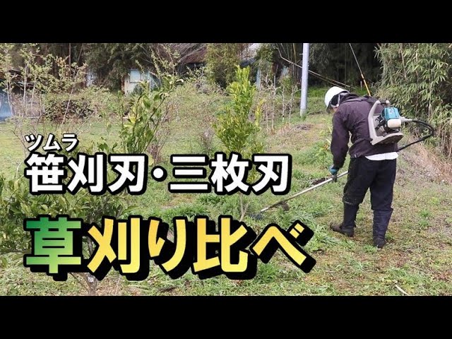 草刈り ツムラの笹刈刃と三枚刃で庭の雑草を草刈り 飛び散り方や切り終えた後の状態を刈り比べ Youtube