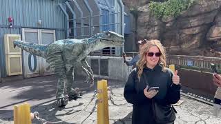 Raptor Encounter Spring Break 2024  | Blue does her hunting call! Universal Studios Hollywood