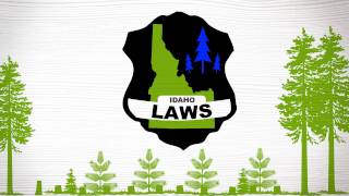 FOREST FAST BREAK: Reforestation