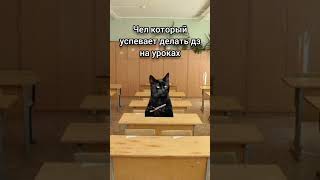 Мой Класс 2Ч #Коты #Мем #Meme #Топ #Хэштег #Рек #Реки #Рекомендации #Montagevideo #Fypシ