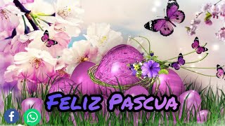 Gif Feliz Pascua Feliz Pascua Mensajes de buenos dias Gif Feliz Pascua 2021 Para Whatssap