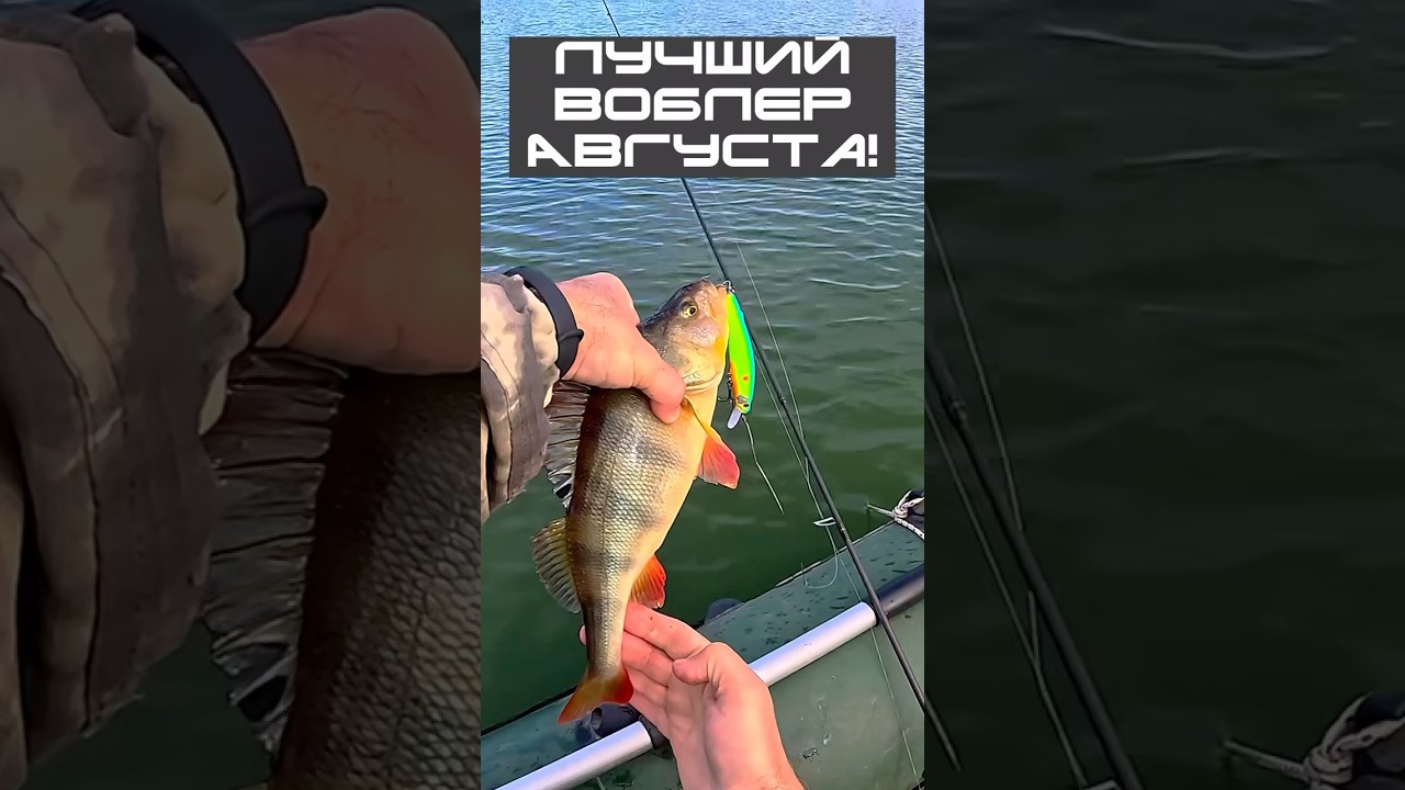 🎣 100-й воблер — и вот это полосатый зверь!🐅🔥🦈 