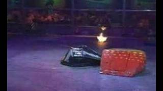 Series 4 Heat C Semi Final 1