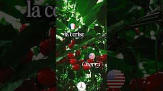 🇺🇸 🇫🇷 Cherry 🍒- FRENCHTIONARY (English French Visual Dictionary)