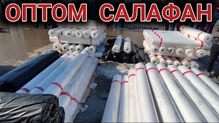 картинка: ОПТОМ САЛАФАН НАРХЛАРИ .