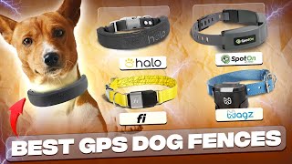 4 Best GPS Dog Fences (We Tested and Reviewed the Best Systems)