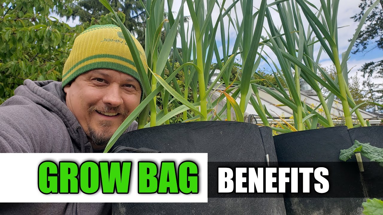 Benefits of Using Fabric Grow Bags Over Planters – ECOgardener