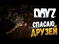 КАК ЗЕРЫЧ АНГЛИЧАН СПАСАЛ - DayZ 1.0