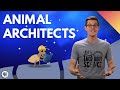 Nature's Ingenious Architects