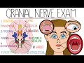 Cranial Nerve Examination Quiz