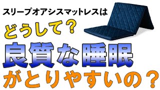 スリープオアシスマットレスはどうして？良質な睡眠がとれやすいの？ 動的睡眠って何？ 寝返り効果？ライズ担当者に聞いてみた！