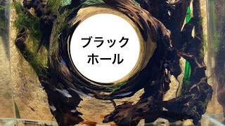 初めて使います。底砂にブラックホールなかなか良いです。#アクアリウム　#熱帯魚