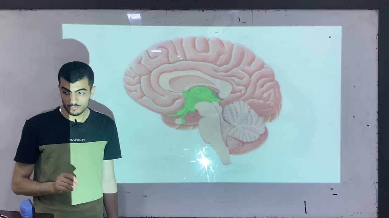 الفصل العاشر | الجهاز الحوفي والدماغ البيني |