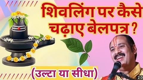 शिवलिंग पर बेलपत्र चढ़ाने का क्या है नियम || कैसे चढ़ाए बेलपत्र #panditpradeepjimishra #shivkatha