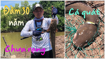 Cá quá nhiều ,đầm bình đại hơn 30 năm chưa rạng đầm ,câu cá chẽm ( 2020 )