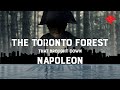 The Toronto Forest That Brought Down Napoleon