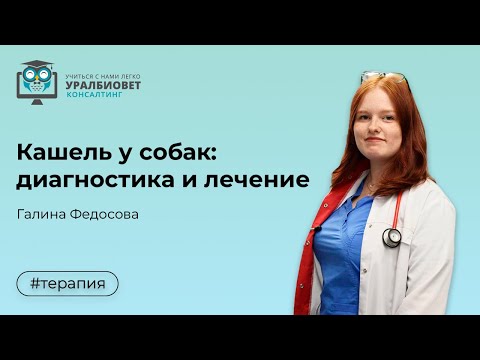 Кашель у собак  диагностика и лечение, лектор Галина Федосова