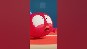 The horse is gone #chicky | Chicky Cartoon in English for kids
